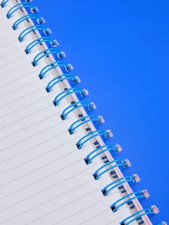 Enfant Primark Carnets|Carnet A4 à Imprimé Jaguar