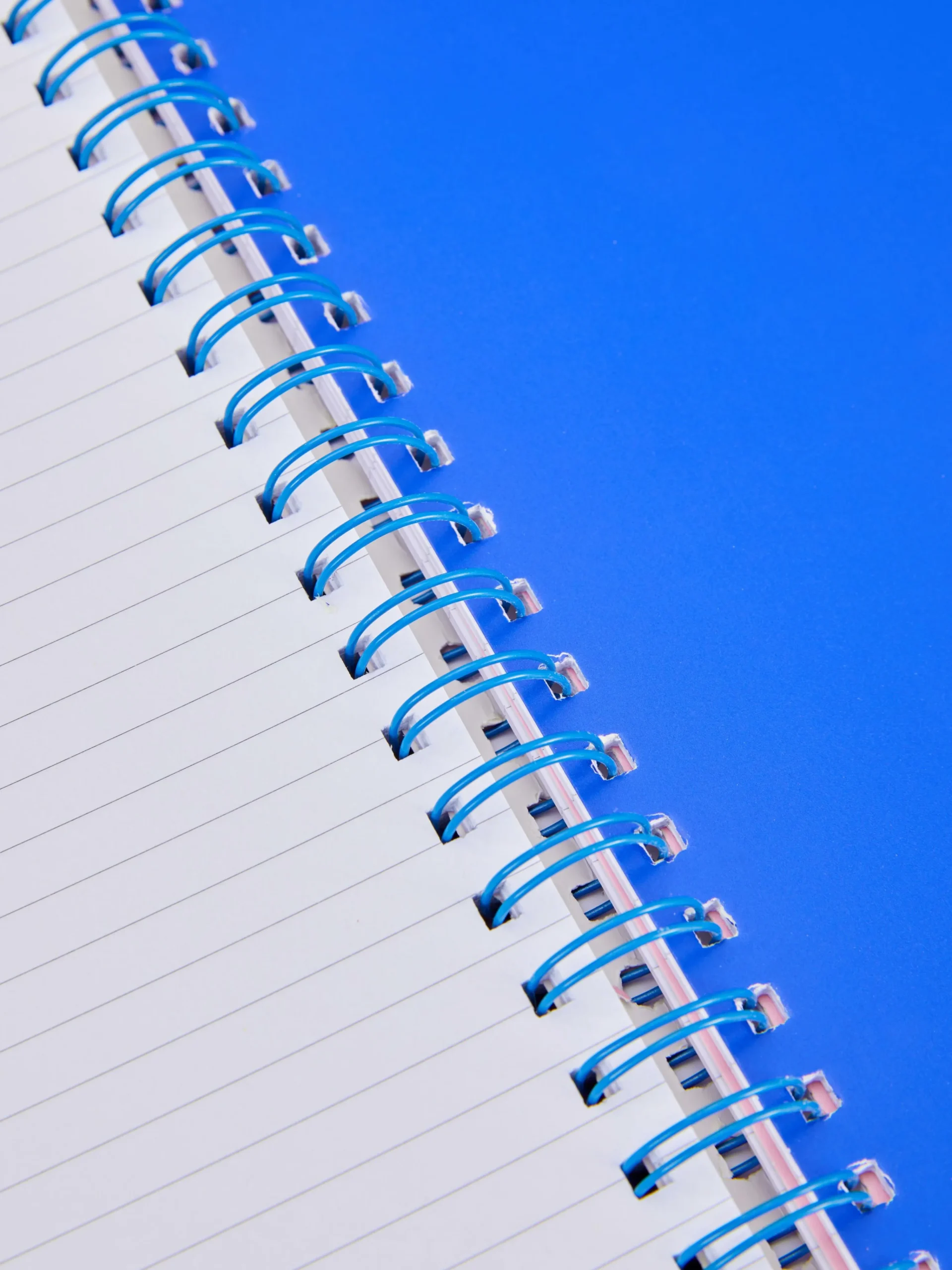 Enfant Primark Carnets|Carnet A4 à Imprimé Jaguar