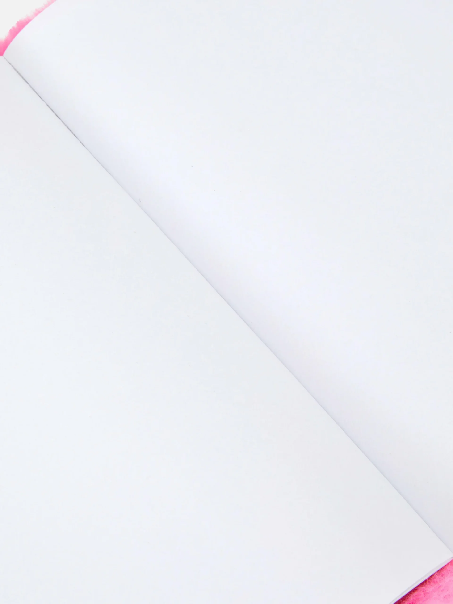 Enfant Primark Carnets|Carnet En Fausse Fourrure à Motif Papillon