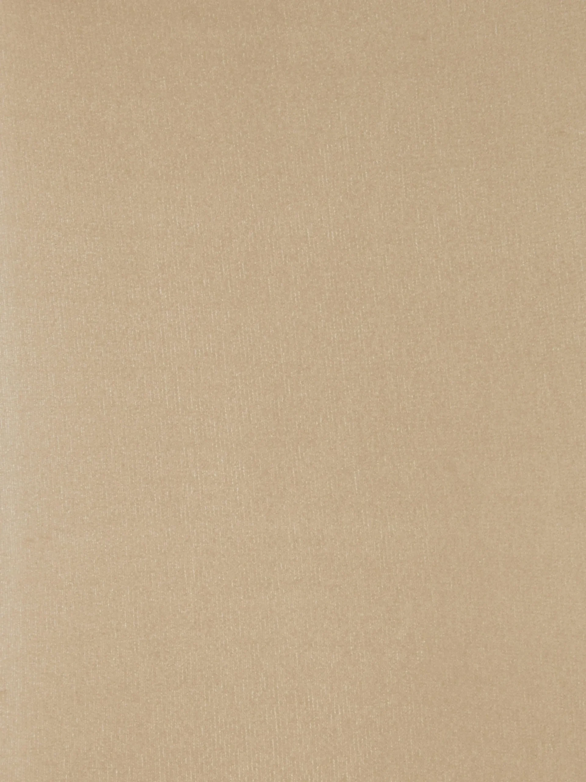 Femme Primark Collants|Collants De Luxe The Edit