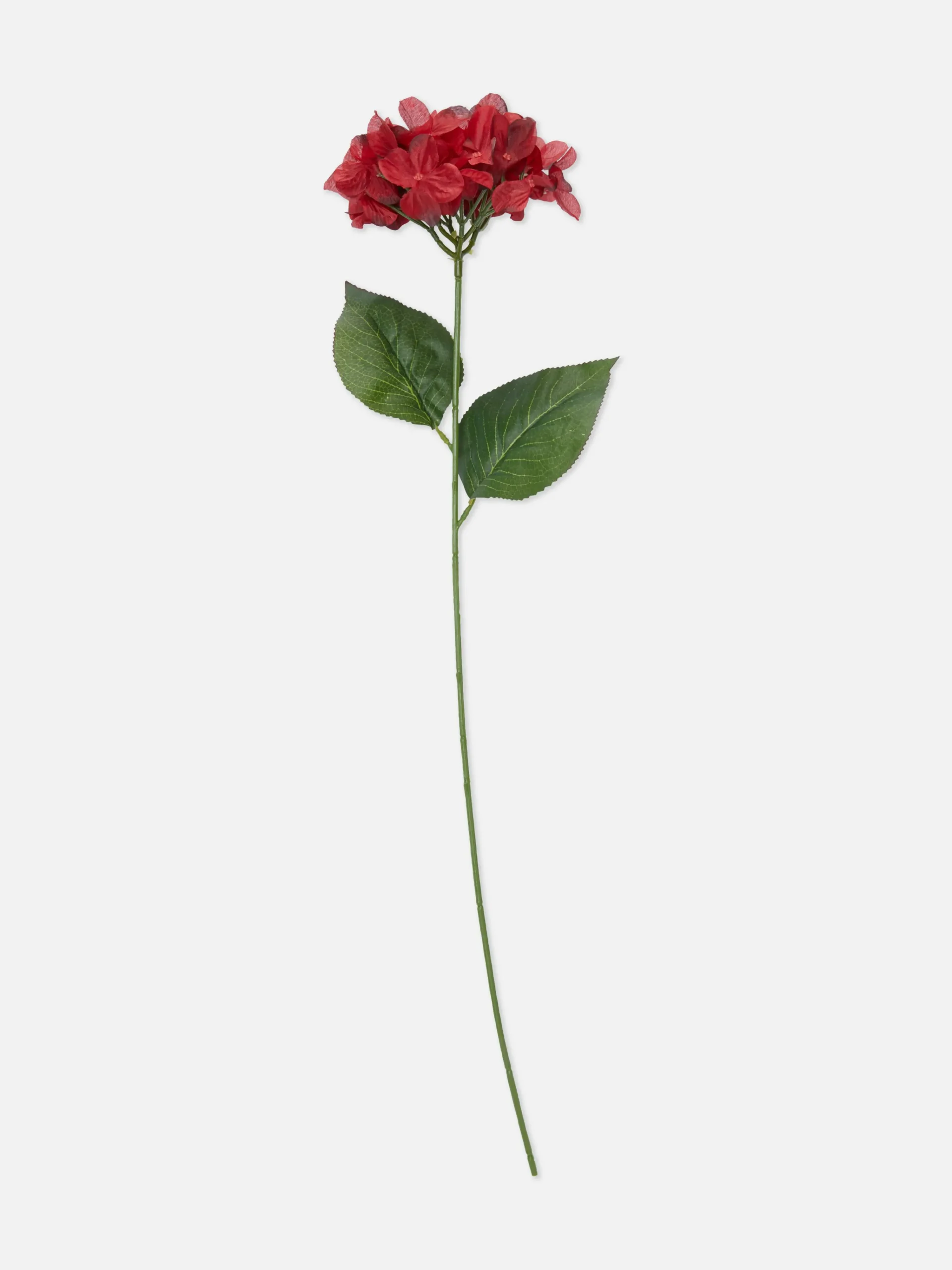 Primark Plantes Et Fleurs Artificielles|Fausse Fleur à Tige Unique