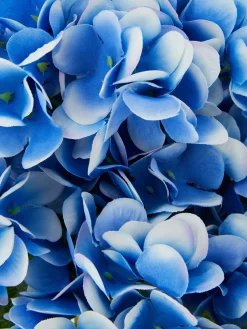 Primark Plantes Et Fleurs Artificielles|Faux Bouquet D'hortensia