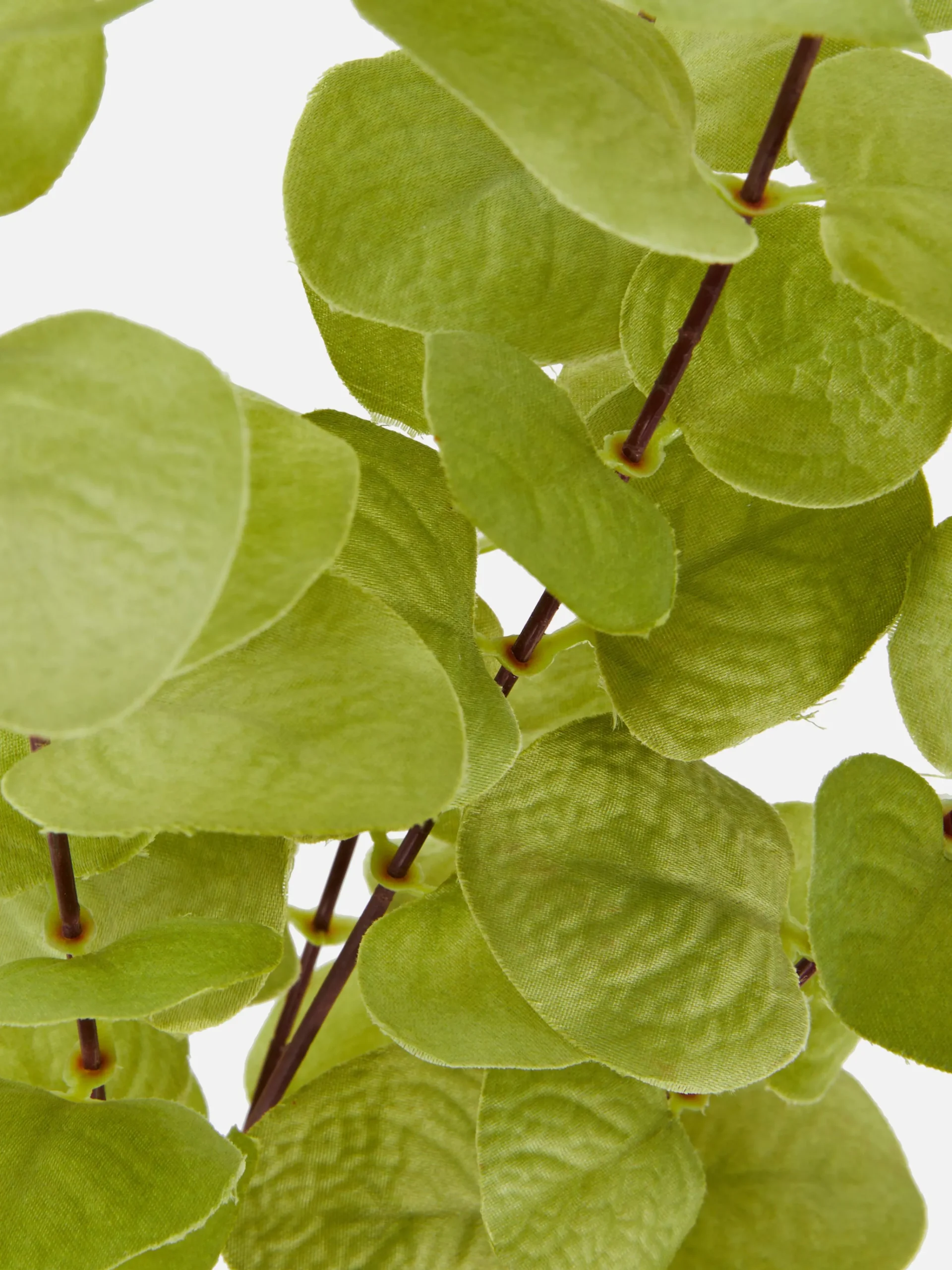 Primark Déco Et Friandises D'Halloween|Tout Halloween|Faux Eucalyptus à Tige Unique