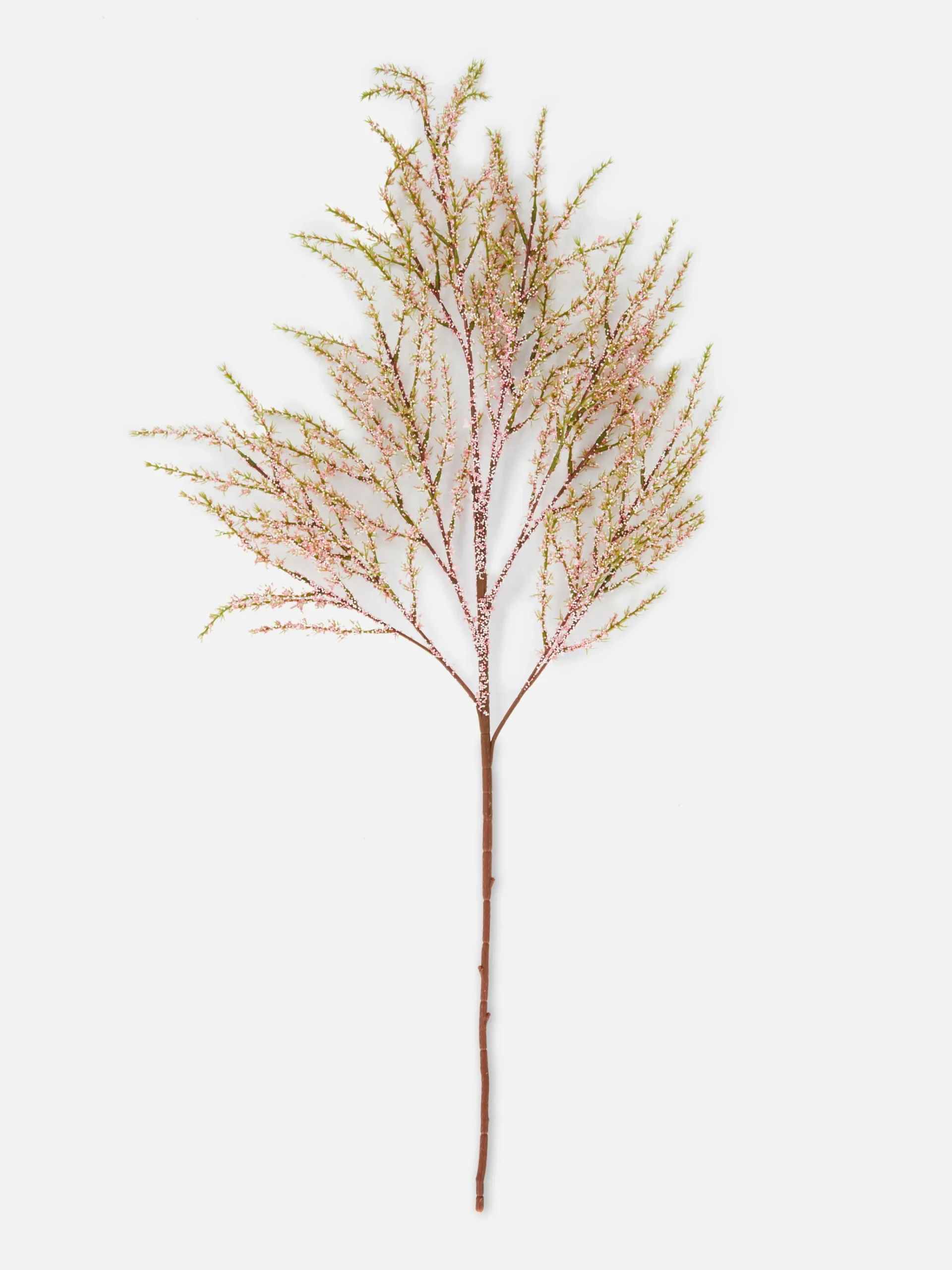 Primark Plantes Et Fleurs Artificielles|Fougère Artificielle Une Tige