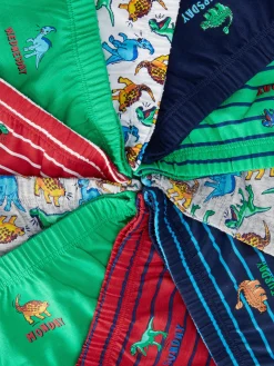 Enfant Primark Sous-Vêtement|Lot De 10 Culottes Graphiques à Motifs Dinosaures