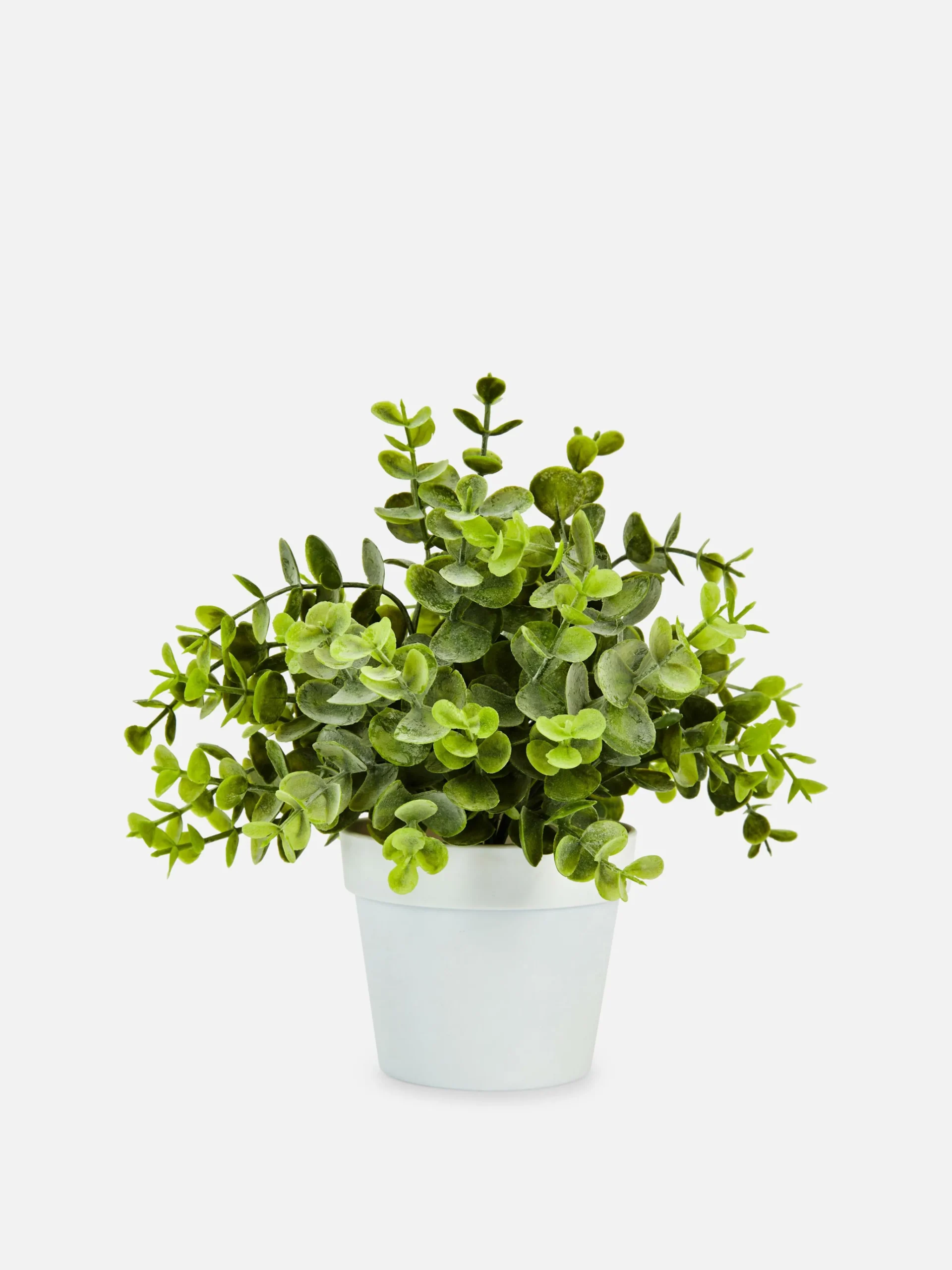 Primark Plantes Et Fleurs Artificielles|Petit Eucalyptus Artificiel