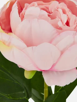 Primark Plantes Et Fleurs Artificielles|Pivoine Artificielle Une Tige