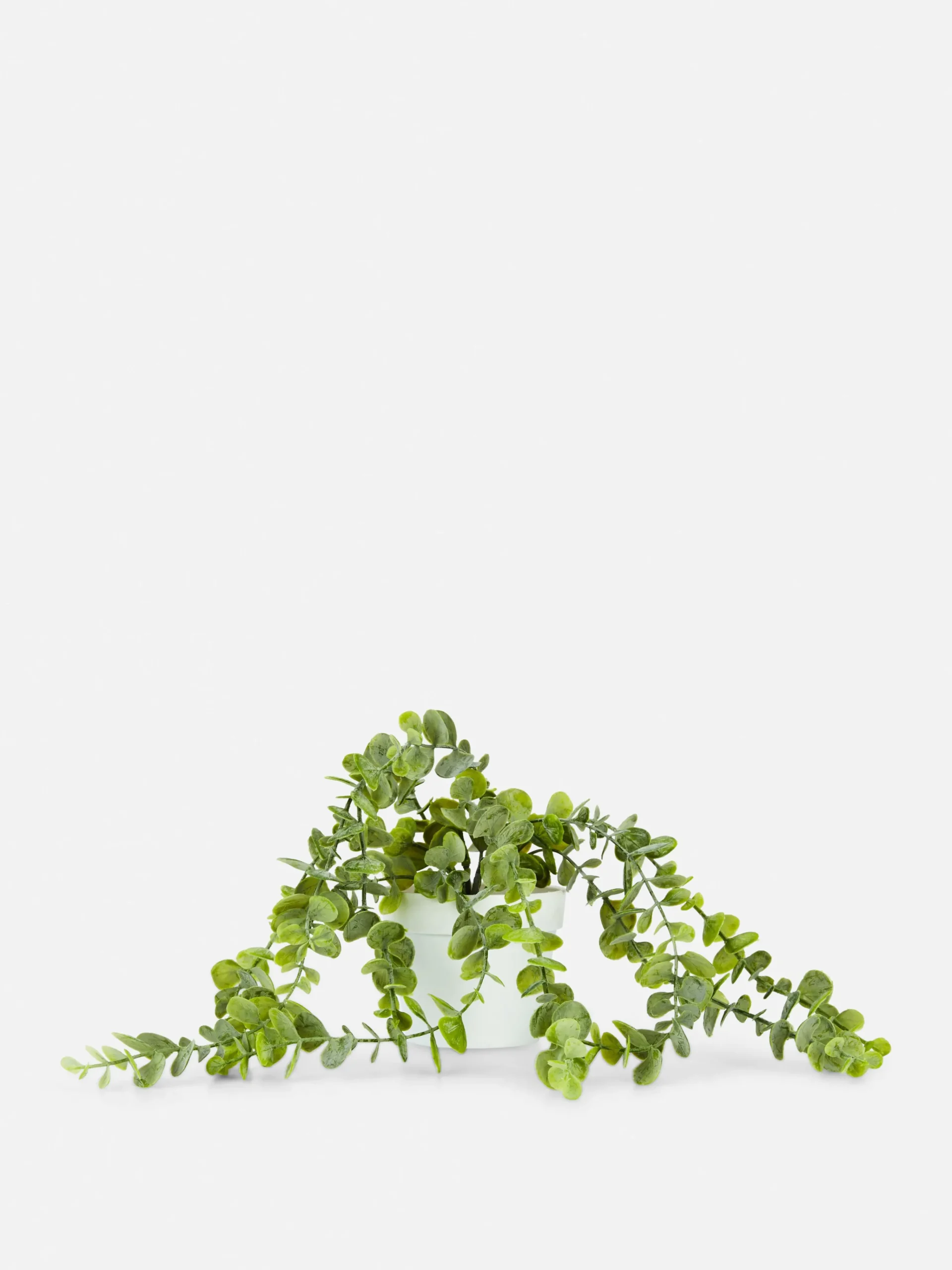 Primark Plantes Et Fleurs Artificielles|Plante Rampante Artificielle En Pot