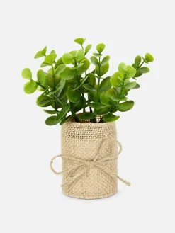 Primark Plantes Et Fleurs Artificielles|Succulente Artificielle Dans Un Pot En Jute