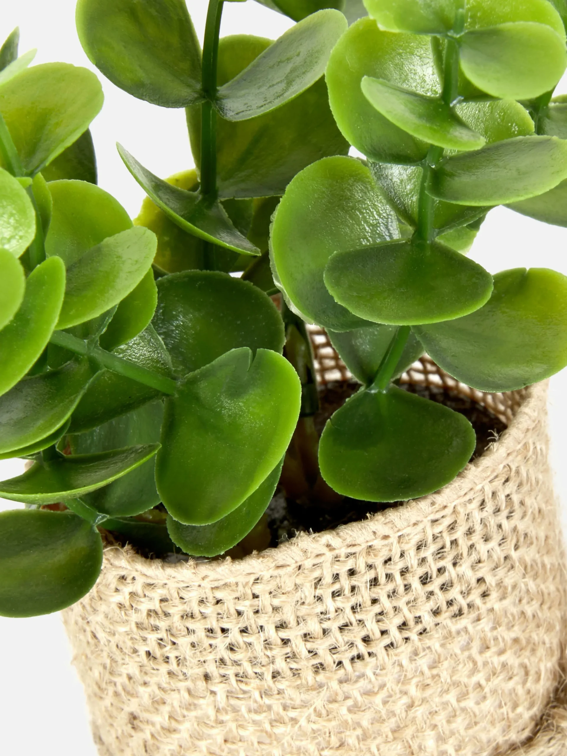 Primark Plantes Et Fleurs Artificielles|Succulente Artificielle Dans Un Pot En Jute