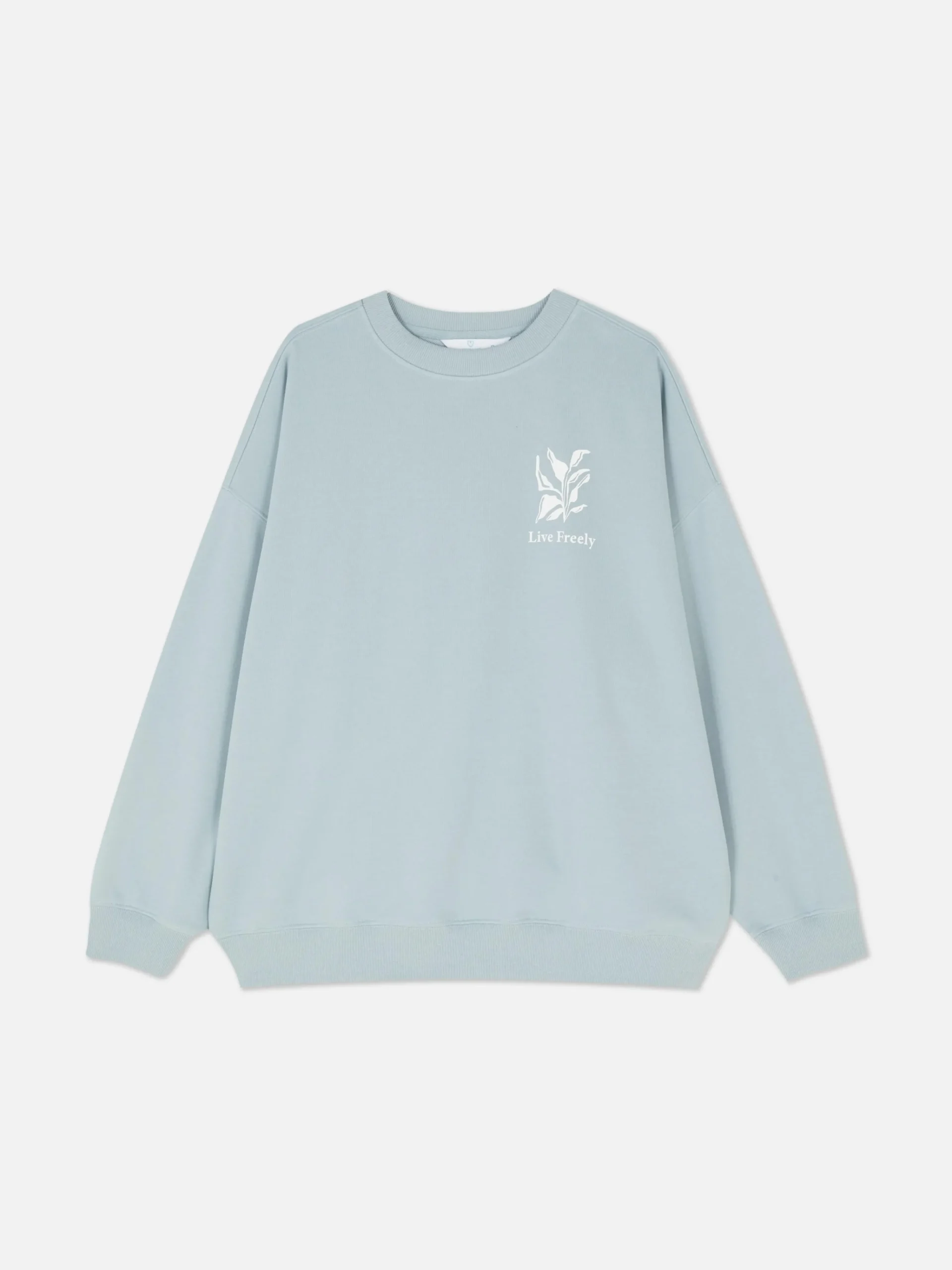 Femme Primark Sweats À Capuche Et Sweat-Shirts|Sweat-shirt Oversize Graphique